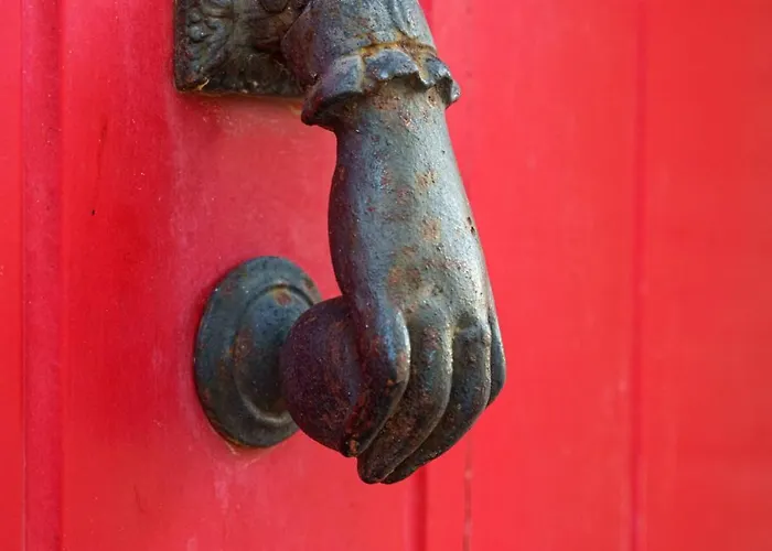 Amaryllis Сasa de vacaciones