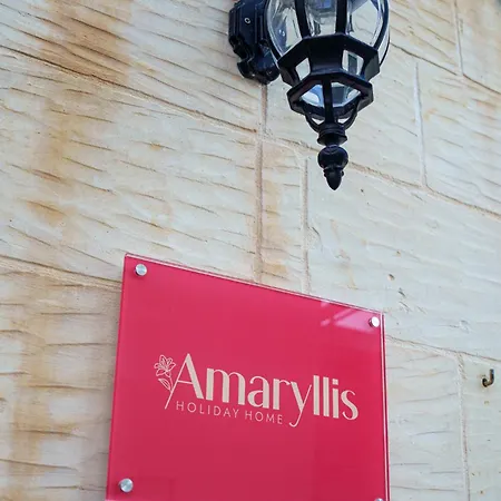 Amaryllis