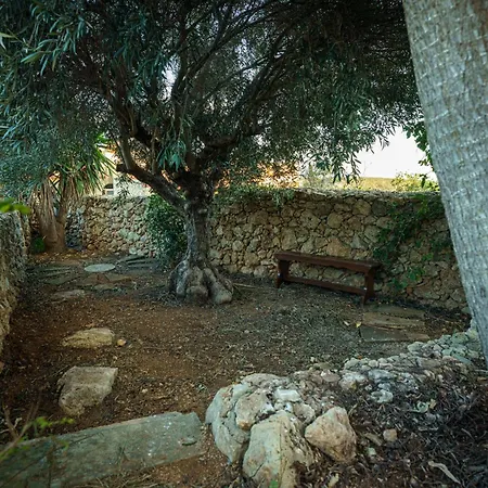 Semesterbostad Amaryllis *